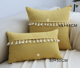 Wide Tassel Lace Pillows