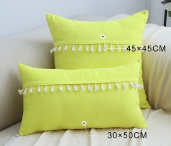 Wide Tassel Lace Pillows
